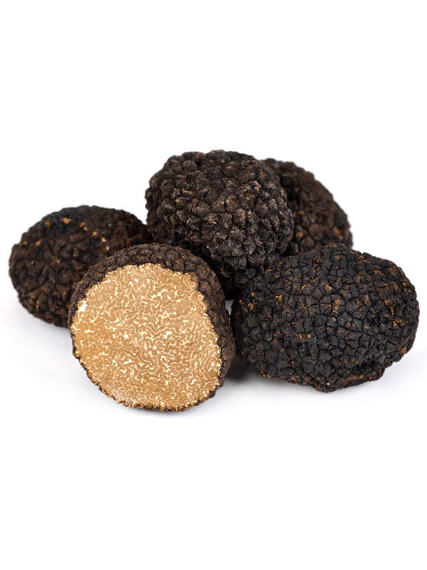Herbst-/Burgundertrüffel (Tuber uncinatum) mit dunkelbrauner und höckeriger Haut, bekannt für sein intensives Aroma von Haselnüssen und Steinpilzen. Perfekt gereift von September bis Dezember in Europa. Entdecken Sie den einzigartigen Geschmack dieses exquisiten Trüffels.
